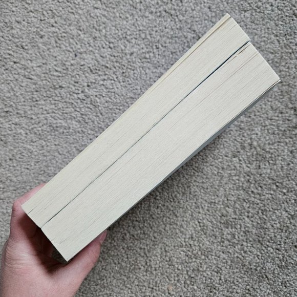 2 Book Bundle by Sarah Dessen - Someone‎ Like You & Lock and Key - Paperback - Picture 7 of 11